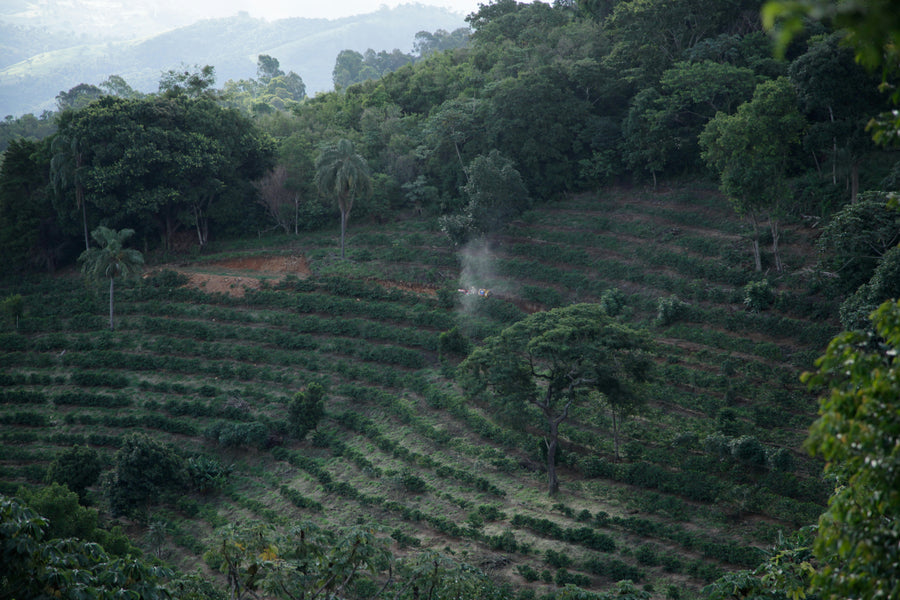 Ethiopia